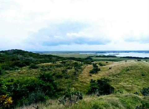Land offer on roadside and river municipality of Alvarado Veracruz México