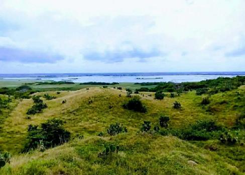 Land offer on roadside and river municipality of Alvarado Veracruz México