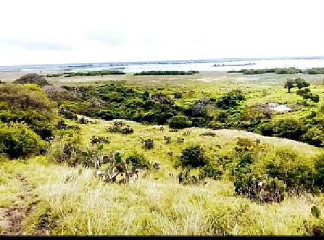 Land offer on roadside and river municipality of Alvarado Veracruz México