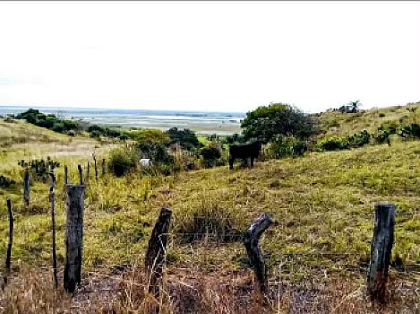 Land offer on roadside and river municipality of Alvarado Veracruz México