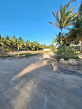 5 Terrenos en esquina dentro del puerto de Telchac, Yucatán