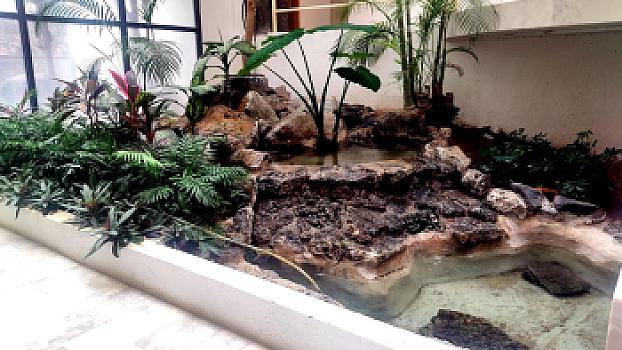 Casa en Venta Fraccionamiento Lomas de Cocoyoc con 4 Recámaras