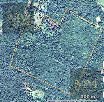Land CHICHIMILA VALLADOLID YUCATAN