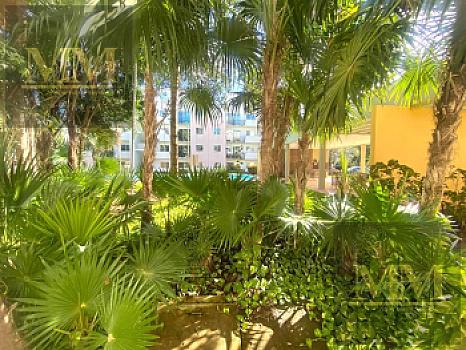 Apartment JARDINES DEL SUR 4