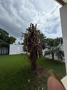 Departamento amueblado en renta, San Ramon Norte, Mérida. 2R, 2B, 2E