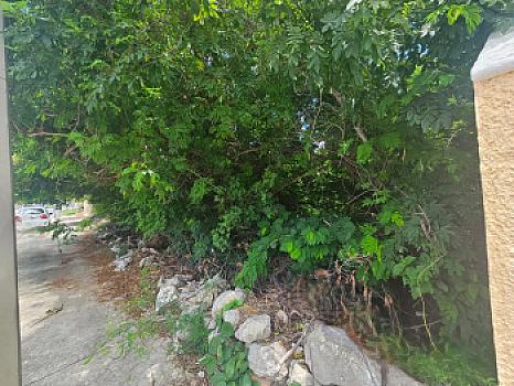 Oportunidad única invirtiendo en Mérida, con alta plusvalía