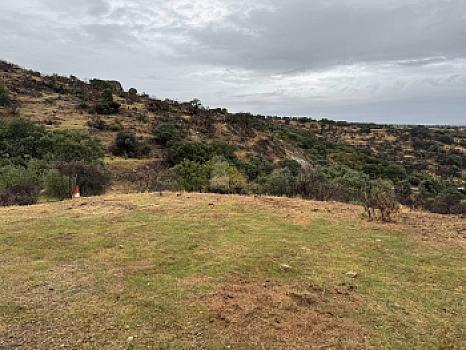 Rústico en venta en Poligono 17 - Matarratones, Almorox (Toledo), Almorox, Toledo